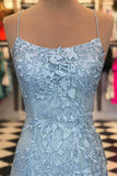 Mermaid Spaghetti Straps Lace Prom Dress Backless Evening Dress,WP056