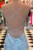 Mermaid Spaghetti Straps Lace Prom Dress Backless Evening Dress,WP056