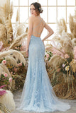 Mermaid Sky Blue Tulle Prom Dress,Lace Appliques Evening Dress,WP008
