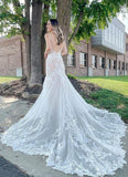 Mermaid Spaghetti Straps Lace Wedding Dress Backless Birdal Gown,WW133