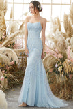 Mermaid Sky Blue Tulle Prom Dress,Lace Appliques Evening Dress,WP008