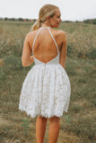 Halter Neckline A-line Backless Ivory Lace Short Homecoming Dress WD240